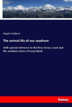 The animal life of our seashore