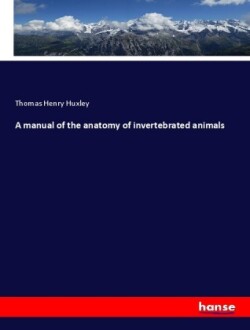 A manual of the anatomy of invertebrated animals