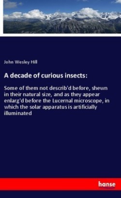 decade of curious insects