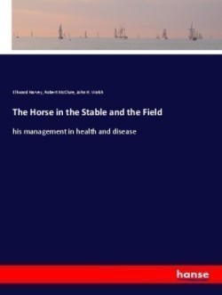 Horse in the Stable and the Field