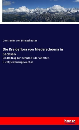 Die Kreideflora von Niederschoena in Sachsen,