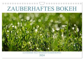 Zauberhaftes Bokeh - Glitzernde Welt winziger Wassertropfen (Wandkalender 2024 DIN A4 quer), CALVENDO Monatskalender