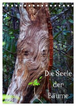 Die Seele der Bäume (Tischkalender 2024 DIN A5 hoch), CALVENDO Monatskalender