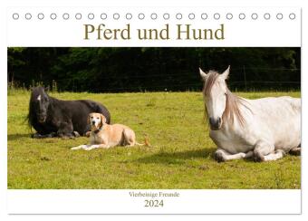 Pferd und Hund - Vierbeinige Freunde (Tischkalender 2024 DIN A5 quer), CALVENDO Monatskalender