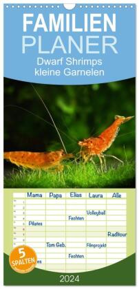 Familienplaner 2024 - Dwarf Shrimps - kleine Garnelen mit 5 Spalten (Wandkalender, 21 x 45 cm) CALVENDO