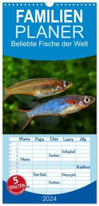 Familienplaner 2024 - Beliebte Fische der Welt mit 5 Spalten (Wandkalender, 21 x 45 cm) CALVENDO