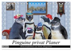 Pinguine privat Planer (Tischkalender 2024 DIN A5 quer), CALVENDO Monatskalender