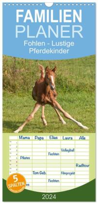 Familienplaner 2024 - Fohlen - Lustige Pferdekinder mit 5 Spalten (Wandkalender, 21 x 45 cm) CALVENDO