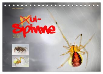 ui - Spinne. Kleine Spinnen - groß im Bild (Tischkalender 2024 DIN A5 quer), CALVENDO Monatskalender
