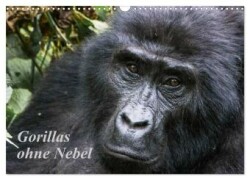 Gorillas ohne Nebel (Wandkalender 2024 DIN A3 quer), CALVENDO Monatskalender