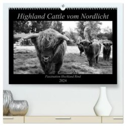 Highland Cattle vom Nordlicht - Faszination Hochland Rind (hochwertiger Premium Wandkalender 2024 DIN A2 quer), Kunstdruck in Hochglanz