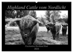 Highland Cattle vom Nordlicht - Faszination Hochland Rind (Wandkalender 2024 DIN A2 quer), CALVENDO Monatskalender