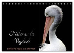 Näher an die Vogelwelt - Exotische Vögel aus aller Welt (Tischkalender 2024 DIN A5 quer), CALVENDO Monatskalender