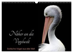 Näher an die Vogelwelt - Exotische Vögel aus aller Welt (Wandkalender 2024 DIN A3 quer), CALVENDO Monatskalender