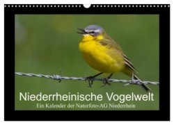 Niederrheinische Vogelwelt (Wandkalender 2024 DIN A3 quer), CALVENDO Monatskalender