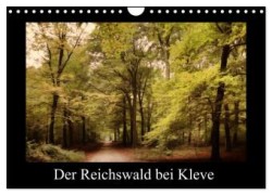 Der Reichswald bei Kleve (Wandkalender 2024 DIN A4 quer), CALVENDO Monatskalender