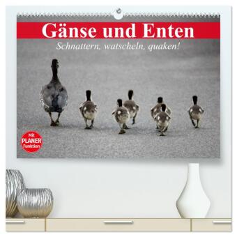 Gänse und Enten. Schnattern, watscheln, quaken! (hochwertiger Premium Wandkalender 2024 DIN A2 quer), Kunstdruck in Hochglanz