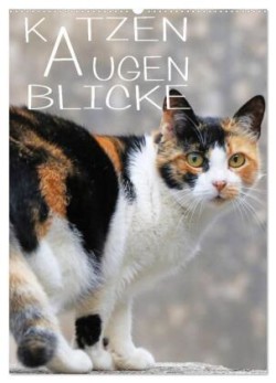 KATZEN AUGEN BLICKE (Wandkalender 2024 DIN A2 hoch), CALVENDO Monatskalender