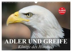 Adler und Greife. Könige des Himmels (Wandkalender 2024 DIN A3 quer), CALVENDO Monatskalender