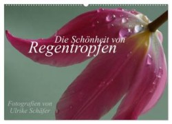 Die Schönheit von Regentropfen (Wandkalender 2024 DIN A2 quer), CALVENDO Monatskalender