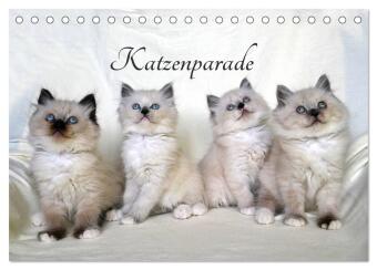 Katzenparade (Tischkalender 2024 DIN A5 quer), CALVENDO Monatskalender
