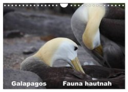 Galapagos. Fauna hautnah (Wandkalender 2024 DIN A4 quer), CALVENDO Monatskalender