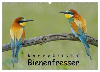 Europäische Bienenfresser (Wandkalender 2024 DIN A2 quer), CALVENDO Monatskalender