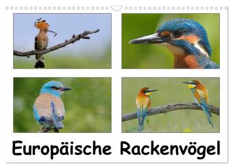 Europäische Rackenvögel (Wandkalender 2024 DIN A3 quer), CALVENDO Monatskalender