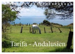 Tarifa - Andalusien (Tischkalender 2024 DIN A5 quer), CALVENDO Monatskalender