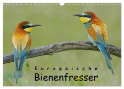 Europäische Bienenfresser (Wandkalender 2024 DIN A3 quer), CALVENDO Monatskalender