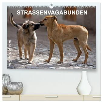 STRASSENVAGABUNDEN (hochwertiger Premium Wandkalender 2024 DIN A2 quer), Kunstdruck in Hochglanz