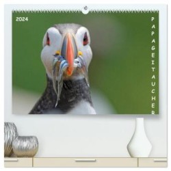 Papageitaucher (hochwertiger Premium Wandkalender 2024 DIN A2 quer), Kunstdruck in Hochglanz