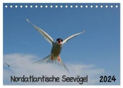 Nordatlantische Seevögel (Tischkalender 2024 DIN A5 quer), CALVENDO Monatskalender