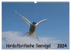 Nordatlantische Seevögel (Wandkalender 2024 DIN A3 quer), CALVENDO Monatskalender