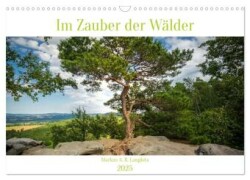 Im Zauber der Wälder (Wandkalender 2025 DIN A3 quer), CALVENDO Monatskalender