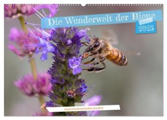 Die Wunderwelt der Biene (Wandkalender 2025 DIN A2 quer), CALVENDO Monatskalender