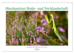 Oberlausitzer Heide- und Teichlandschaft (Wandkalender 2025 DIN A3 quer), CALVENDO Monatskalender