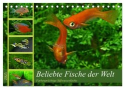 Beliebte Fische der Welt (Tischkalender 2025 DIN A5 quer), CALVENDO Monatskalender