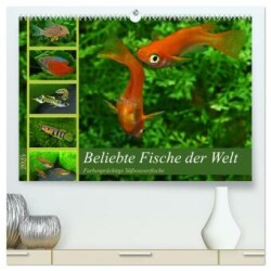 Beliebte Fische der Welt (hochwertiger Premium Wandkalender 2025 DIN A2 quer), Kunstdruck in Hochglanz