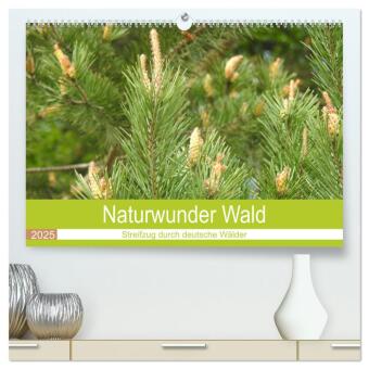 Naturwunder Wald (hochwertiger Premium Wandkalender 2025 DIN A2 quer), Kunstdruck in Hochglanz