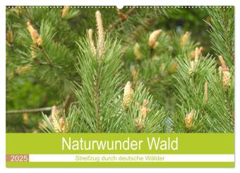 Naturwunder Wald (Wandkalender 2025 DIN A2 quer), CALVENDO Monatskalender