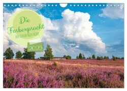 Die Farbenpracht der Lüneburger Heide (Wandkalender 2025 DIN A4 quer), CALVENDO Monatskalender