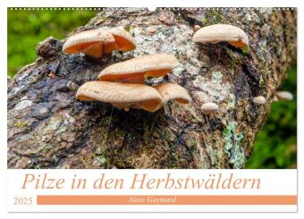 Pilze in den Herbstwäldern (Wandkalender 2025 DIN A2 quer), CALVENDO Monatskalender