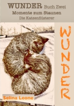 WUNDER / Momente zum Staunen - Buch Zwei / Die Katzenflüsterer