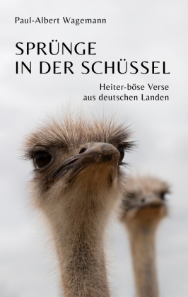 Sprünge in der Schüssel - 148 zeitgeistkritische Gedichte im Stil von Limericks