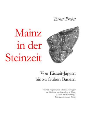 Mainz in der Steinzeit