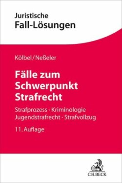 Fälle zum Schwerpunkt Strafrecht