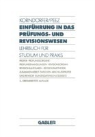 Einführung in das Prüfungs- und Revisionswesen