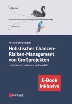 Holistisches Chancen-Risiken-Management von Grossprojekten