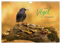 Bunte Vögel am Futterplatz (Wandkalender 2025 DIN A4 quer), CALVENDO Monatskalender